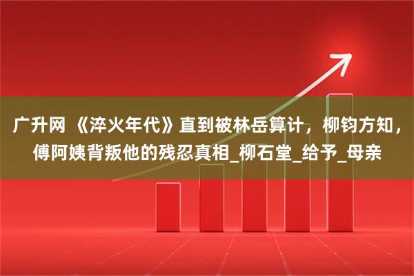 广升网 《淬火年代》直到被林岳算计，柳钧方知，傅阿姨背叛他的残忍真相_柳石堂_给予_母亲