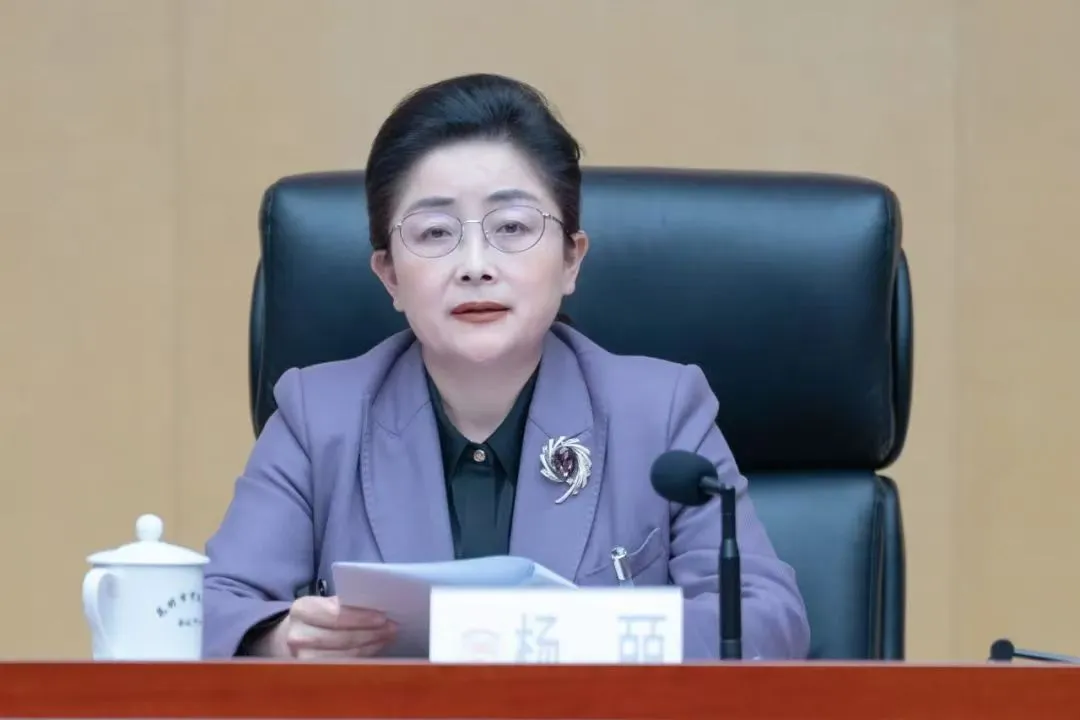 配查网 正厅级杨皕，主动投案