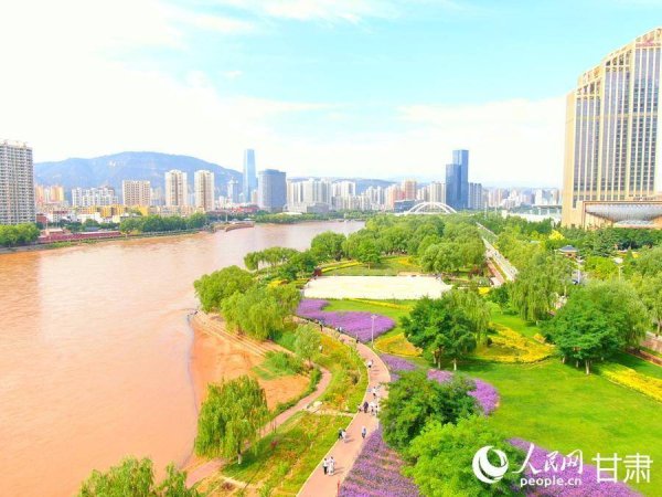 策略池 甘肃兰州：黄河边邂逅“紫色浪漫”