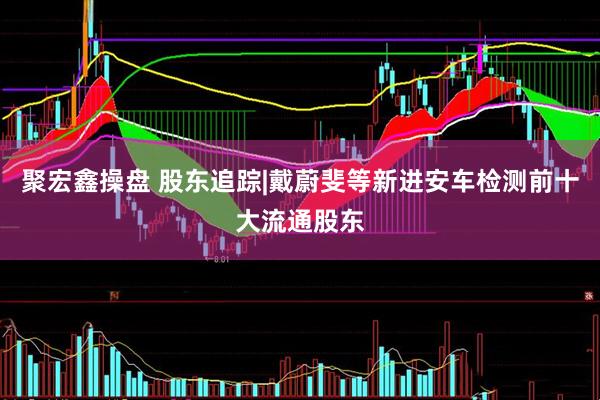 聚宏鑫操盘 股东追踪|戴蔚斐等新进安车检测前十大流通股东