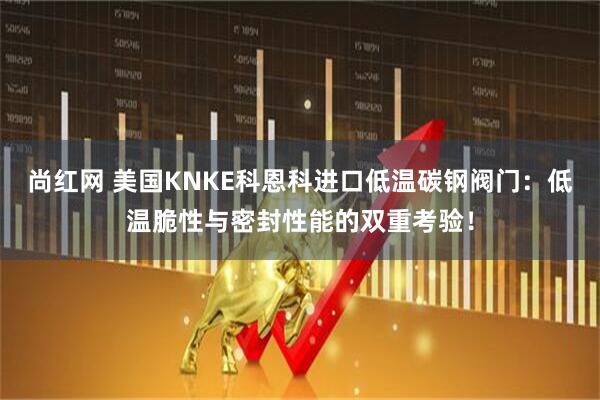 尚红网 美国KNKE科恩科进口低温碳钢阀门：低温脆性与密封性能的双重考验！